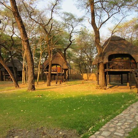 The Tree Lodge At Sikumi Dete Bagian luar foto