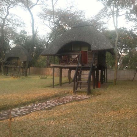 The Tree Lodge At Sikumi Dete Bagian luar foto