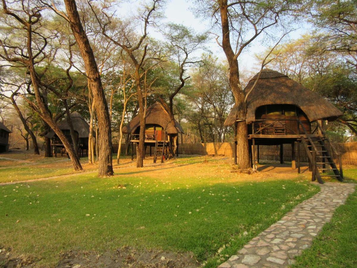 The Tree Lodge At Sikumi Dete Bagian luar foto