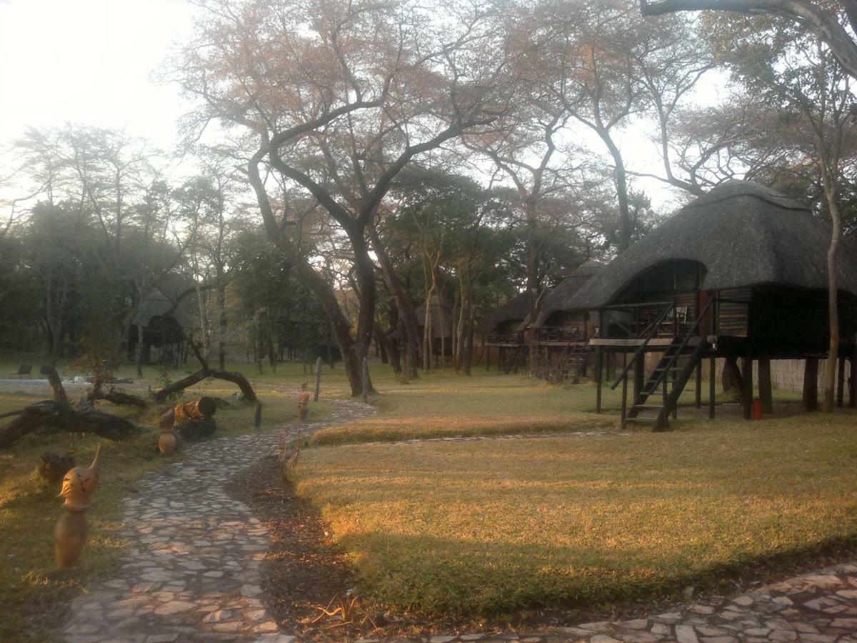 The Tree Lodge At Sikumi Dete Bagian luar foto