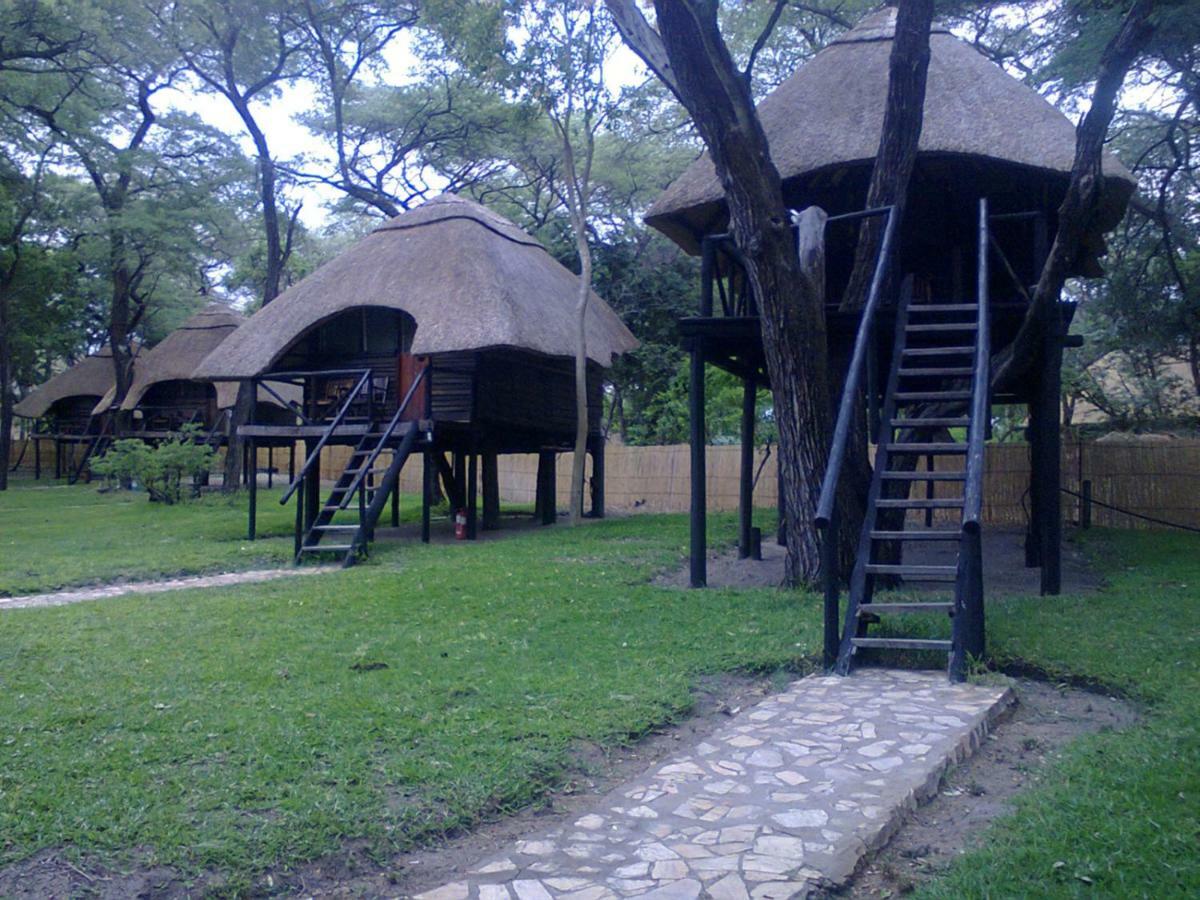 The Tree Lodge At Sikumi Dete Bagian luar foto